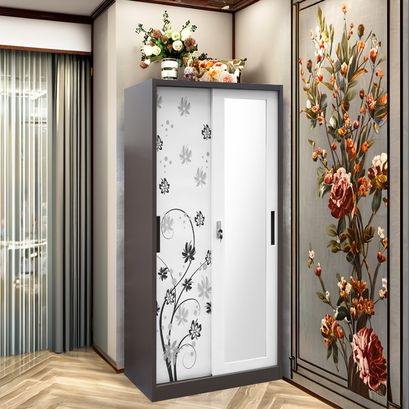 Discover the Allure of the TENGLE 2 Doors Sliding Steel Printed Wardrobe With Mirror