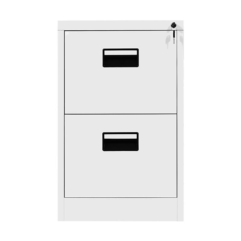 Vertical File Drawer Cabinet with 2 Drawer